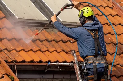 Démoussage et hydrofuge de toiture à Coulonche